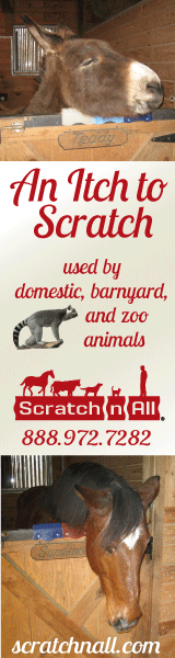 Pet Scratcher Made in the USA