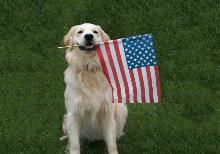 Pet supplies and products made in the USA